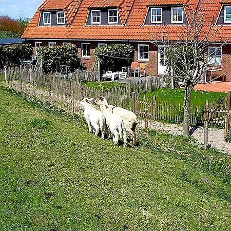 Apartamento Landhaus-Am-Deich-Wohnung-Moewe Tönning